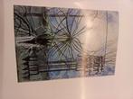 Leon Spilliaert expo-catalogus., Ophalen of Verzenden