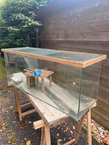 Groot terrarium beschikbaar voor biedingen