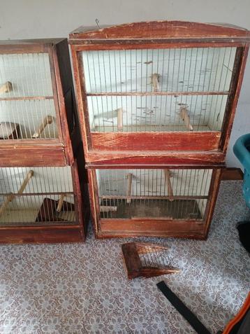 Antieke vogelkooitjes beschikbaar voor biedingen