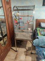 Grote INOX vogelkooi, totale H143*B54*D54 cm, Dieren en Toebehoren, Vogels | Hokken en Kooien, Ophalen, Zo goed als nieuw, Overige materialen