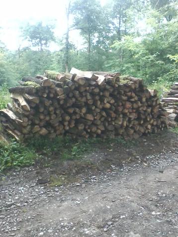 à vendre bois de chauffage sec beschikbaar voor biedingen