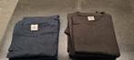 T-Shirt B&C - Katoen - NIEUW - maten M en L - Blauw en Zwart, Kleding | Heren, T-shirts, Ophalen of Verzenden, Nieuw, Maat 48/50 (M)