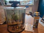 aquarium merk tetra met verlichting + extra zware filterpomp, Dieren en Toebehoren, Ophalen, Zo goed als nieuw, Leeg aquarium