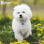 Calendrier Bichon Frise 2025, Enlèvement ou Envoi, Calendrier annuel, Neuf