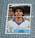 Panini / Football 88 RSC Anderlecht / Juan Lozano, Verzamelen, Verzenden, Nieuw, Poster, Plaatje of Sticker