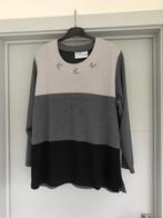 Pull maat 50, Credo, Ophalen of Verzenden, Grijs, Trui of Vest