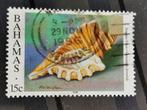 Bahamas 1996 - faune sous-marine - coquillages, Enlèvement ou Envoi, Affranchi, Amérique du Nord