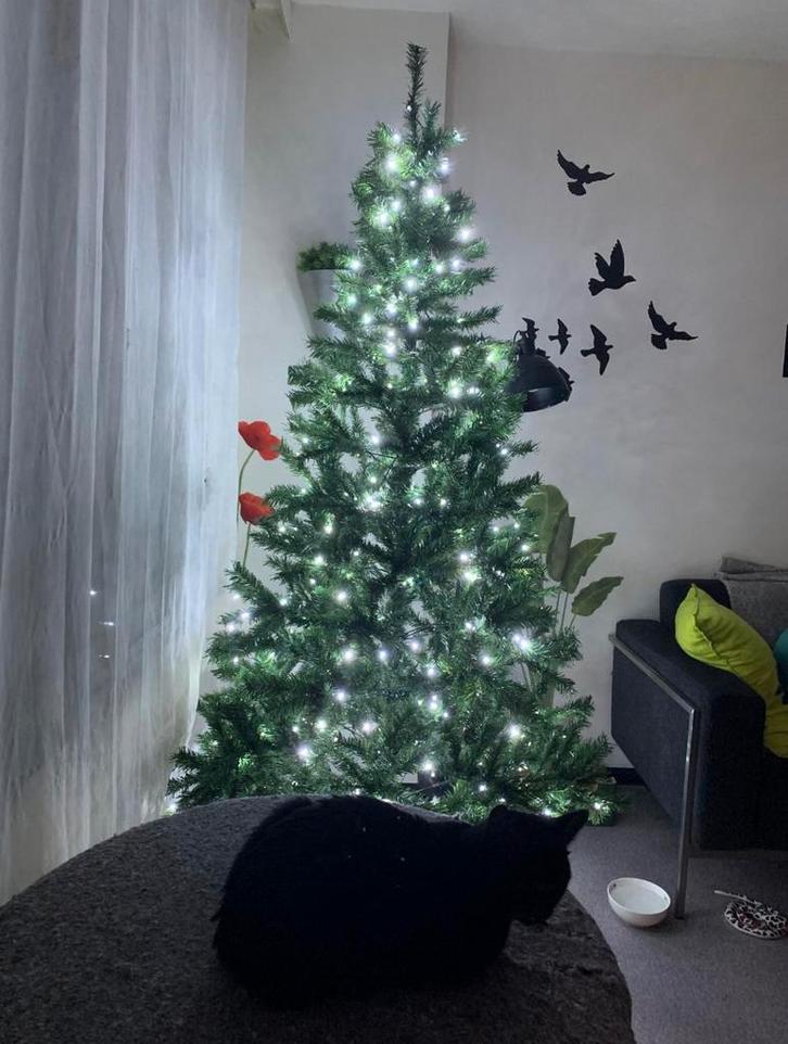 Kerstboom met lichtjes nieuw, Diversen, Kerst, Nieuw, Ophalen