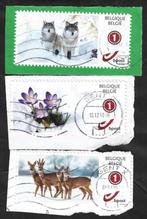 3 Postzegel België 2019 Magische Winter, Postzegels en Munten, Postzegels | Europa | België, Kerst, Frankeerzegel, Ophalen of Verzenden