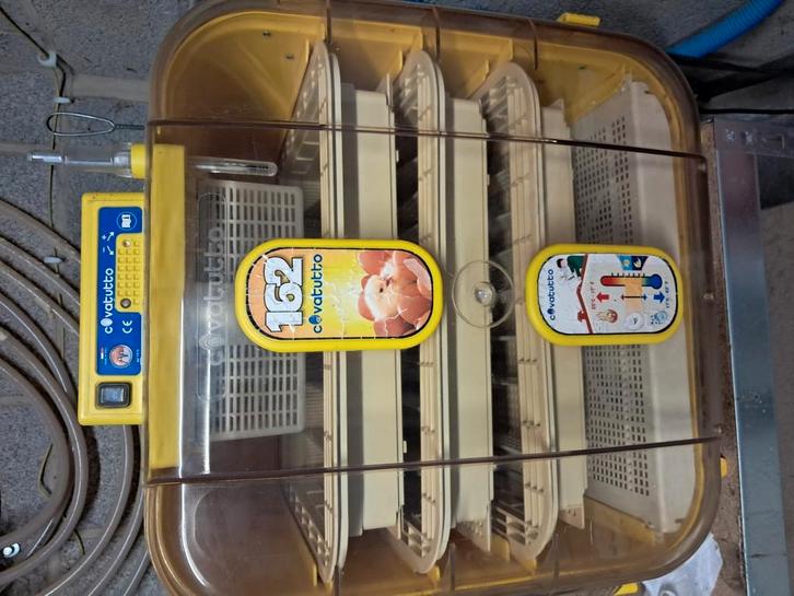 Couveuse Covatutto 120, Dieren en Toebehoren, Vogels | Toebehoren, Ophalen