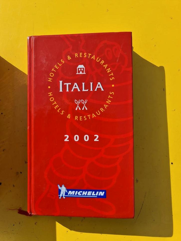 Boek : Michelin gids Italië, Boeken, Reisgidsen, Zo goed als nieuw, Michelin, Ophalen of Verzenden