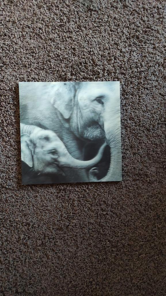 3d schilderij van 2 olifanten, Huis en Inrichting, Woonaccessoires | Schilderijen, Tekeningen en Foto's, Zo goed als nieuw, Schilderij