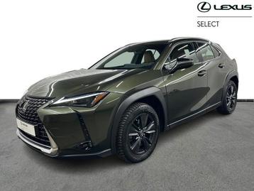 Lexus UX 250h Business Line Plus, Auto's, Lexus, Automaat, Euro 6, USB, https://public.car-pass.be/vhr/945089f8-0d79-457f-a6a9-f9d0c85a034c
