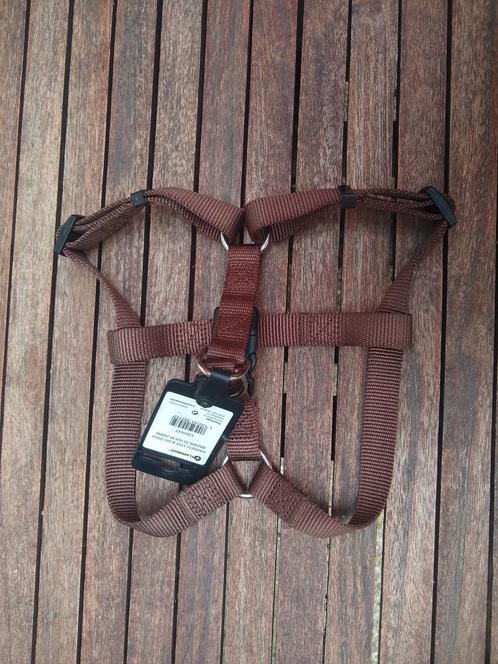 nieuw Flamingo harnas voor kleine tot middelgrote hond, Dieren en Toebehoren, Honden-accessoires, Nieuw, Ophalen of Verzenden