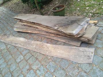 Beuken. Schaaldelen. 8 st 5cm dik, 240cm. Boomplak. Boomstam beschikbaar voor biedingen