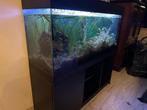 aquarium incl kast en alle toebehoren, Dieren en Toebehoren, Ophalen, Gebruikt, Gevuld zoetwateraquarium