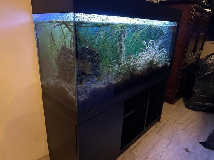 aquarium incl kast en alle toebehoren, Dieren en Toebehoren, Vissen | Aquaria en Toebehoren, Gebruikt, Gevuld zoetwateraquarium