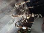 2 antieke lusters, Huis en Inrichting, Lampen | Hanglampen, Ophalen