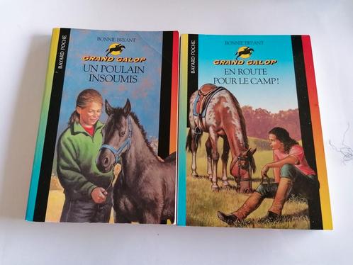 Lot de deux livres de Bonnie Bryant, Bayard Jeunesse, Livres, Livres pour enfants | Jeunesse | Moins de 10 ans, Comme neuf, Fiction général
