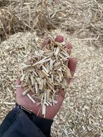 Miscanthus, Tuin en Terras, Planten | Tuinplanten, Ophalen of Verzenden