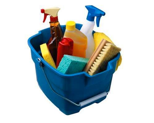 Schoonmaakster aangeboden,ook bankstel en dieptereiniging, Vacatures, Vacatures | Schoonmaak en Facilitaire diensten