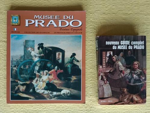 Musée du Prado : Peinture espagnole + guide  = 2 livres !!, Livres, Guides touristiques, Utilisé, Autres types, Europe, Enlèvement