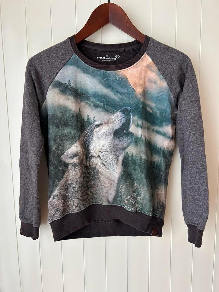 Stones and Bones sweater voor jongens., Kinderen en Baby's, Kinderkleding | Maat 152, Gebruikt, Jongen, Trui of Vest, Ophalen of Verzenden