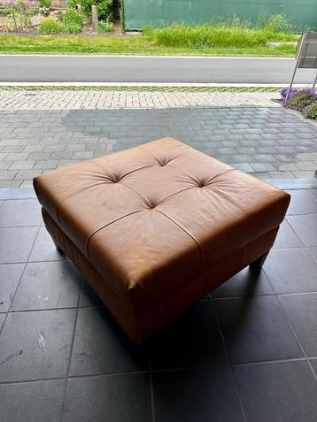 Poef volleder beschikbaar voor biedingen