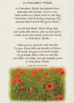 (m91) In Flanders Fields, Verzamelen, Verzenden