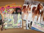 Posters paarden, Ophalen of Verzenden, Zo goed als nieuw