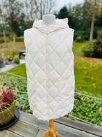 Prachtige bodywarmer, Twin Set, Italiaanse maat 42, Ophalen of Verzenden