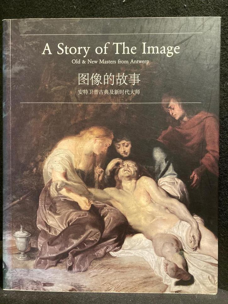 Anvers, L'histoire de l'image - 2009 anglais/chinois, Livres, Art & Culture | Arts plastiques, Comme neuf, Peinture et dessin
