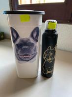 Laatste setje Franse bulldog aan outletprijsje !, Dieren en Toebehoren, Ophalen of Verzenden, Nieuw
