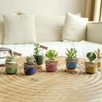 Succulente Plantenpot Set van 6 GRATIS LEVERING, Tuin en Terras, Bloempotten, Overige materialen, Verzenden, Rond, Nieuw