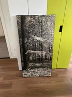 Berkenbos op houten kader - uit voormalige bibliotheek, Antiek en Kunst, Ophalen