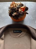 Warm wintersport vest, Kleding | Heren, Sportkleding, Ophalen, Maat 52/54 (L), Bruin, Zo goed als nieuw