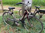 Damesfiets Oxford Clipper – en Mercure in goede staat, Fietsen en Brommers, 53 tot 56 cm, Versnellingen, Zo goed als nieuw, Ophalen