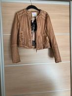 Kort jasje inTorri leer  Merk Rino&Pelle Maat 38, Ophalen, Nieuw, Maat 38/40 (M), Jasje