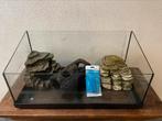 Aquarium met accessoires, Dieren en Toebehoren, Ophalen, Zo goed als nieuw, Leeg aquarium