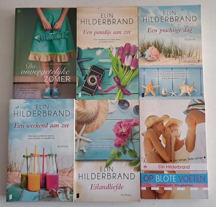 Boeken Elin Hildebrand, Livres, Romans, Utilisé, Enlèvement ou Envoi