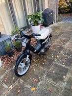 Honda wallaroo 50cc b-klasse, Fietsen en Brommers, Brommers | Honda, Ophalen, Gebruikt, Klasse B (45 km/u), 50 cc