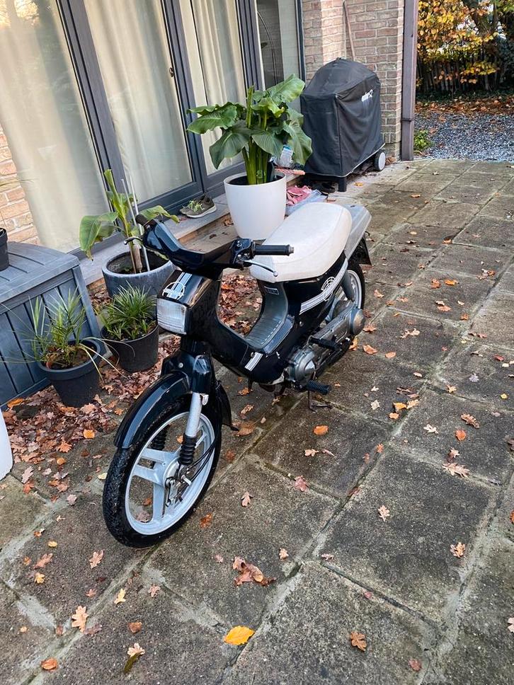 Honda wallaroo 50cc b-klasse, Fietsen en Brommers, Brommers | Honda, Gebruikt, Klasse B (45 km/u), Ophalen