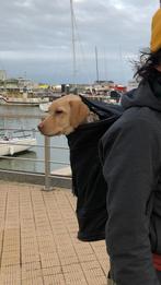 sac à dos pour le transport de petits chiens ou chats pesant, Enlèvement ou Envoi, Comme neuf