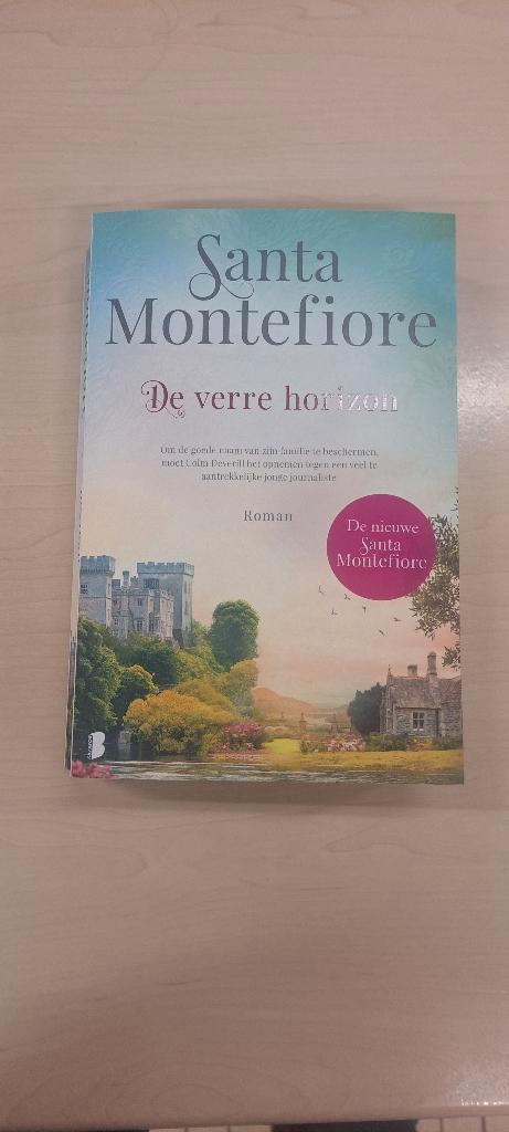 Santa montefiore de verre horizon, Livres, Romans, Enlèvement ou Envoi
