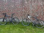 Set van 2 mountainbikes — voor een lage prijs, Ophalen