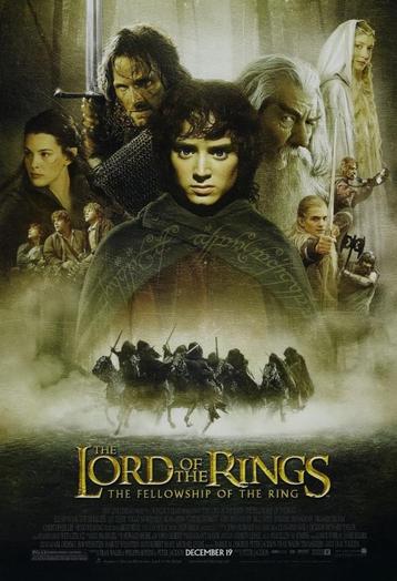 dvd - Lord of the rings , the fellowship of the ring beschikbaar voor biedingen