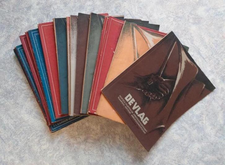 DeVlag Steenlandt Antwerpen Landsleiding Vlaanderen Acke SX, Boeken, Politiek en Maatschappij, Zo goed als nieuw, Maatschappij en Samenleving