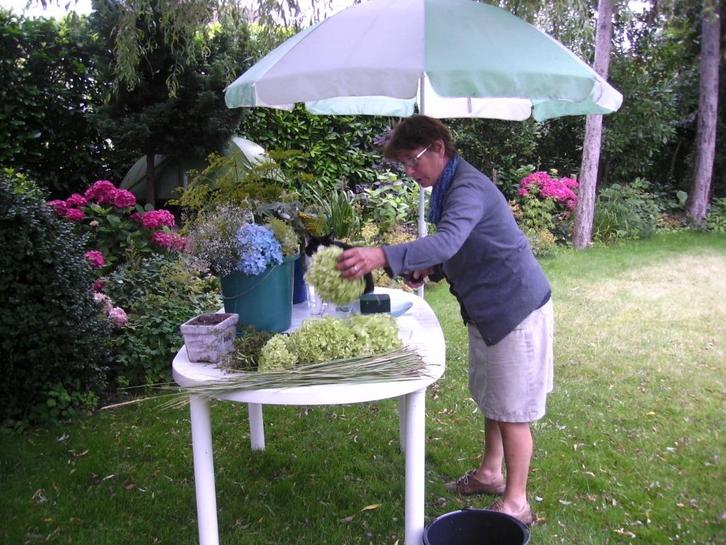 planten - boompjes, Tuin en Terras, Planten | Bomen, Ophalen