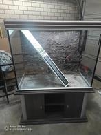 Extra hoog: 101x51x85cm 400ltr! Discus, maanvis, cichliden, Ophalen, Gebruikt, Leeg aquarium