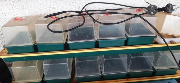mini serres chauffantes, Tuin en Terras, Kassen, Gebruikt, Kweekkas, Plastic, Ophalen
